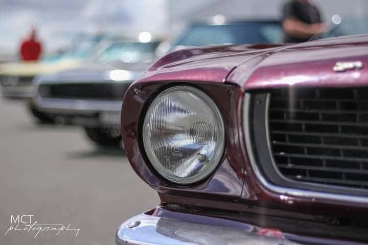 1966 Mustang UK 14