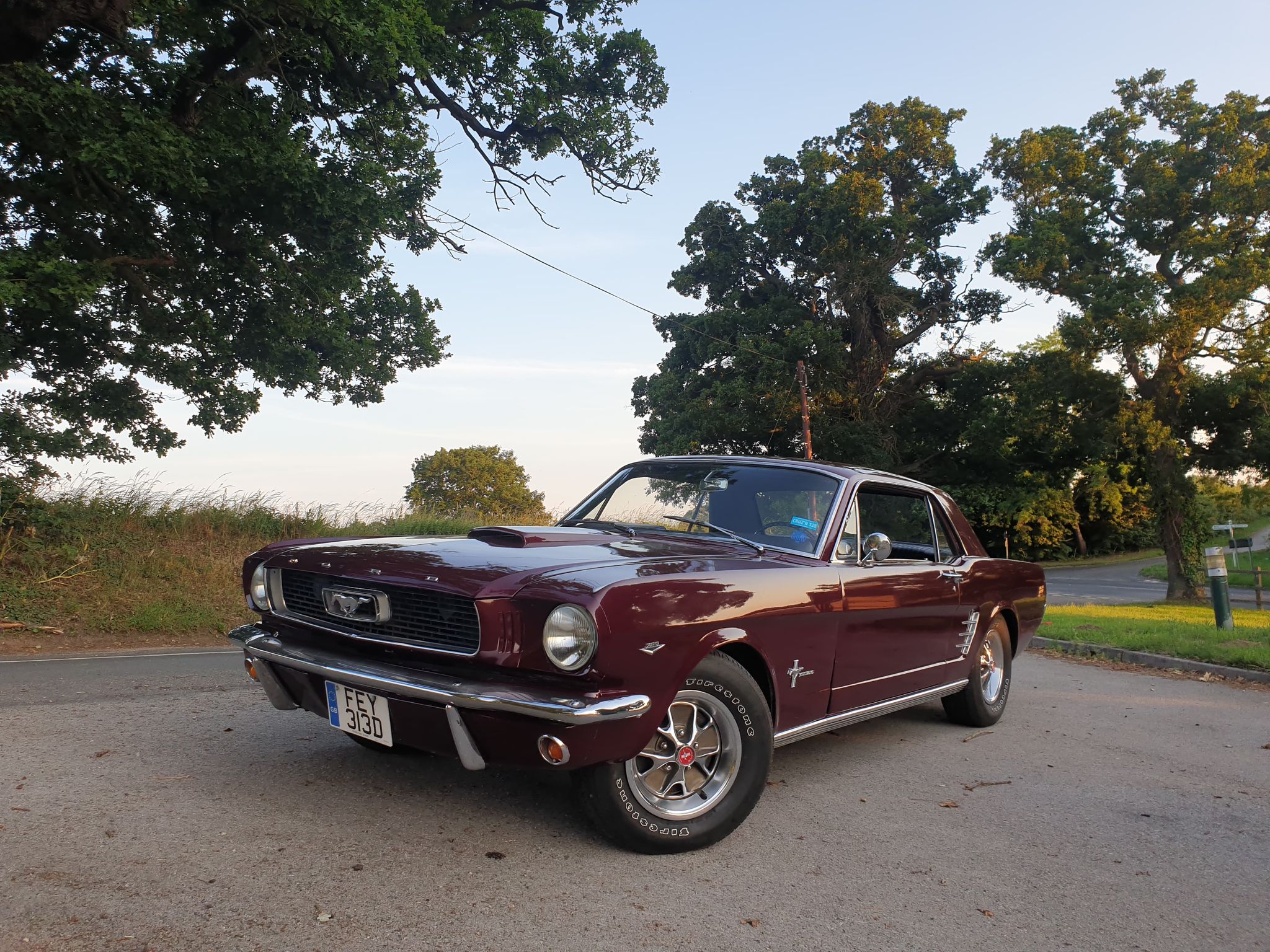 1966 Mustang UK 14